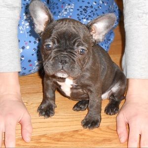 Meet your Posher, Krystyna